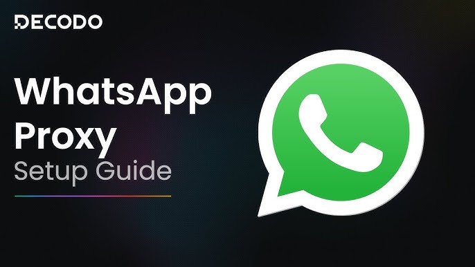 French WhatsApp number screening platform