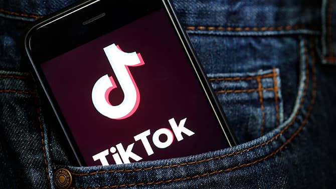 Which fields can be exported in the TikTok user information CSV output structure?